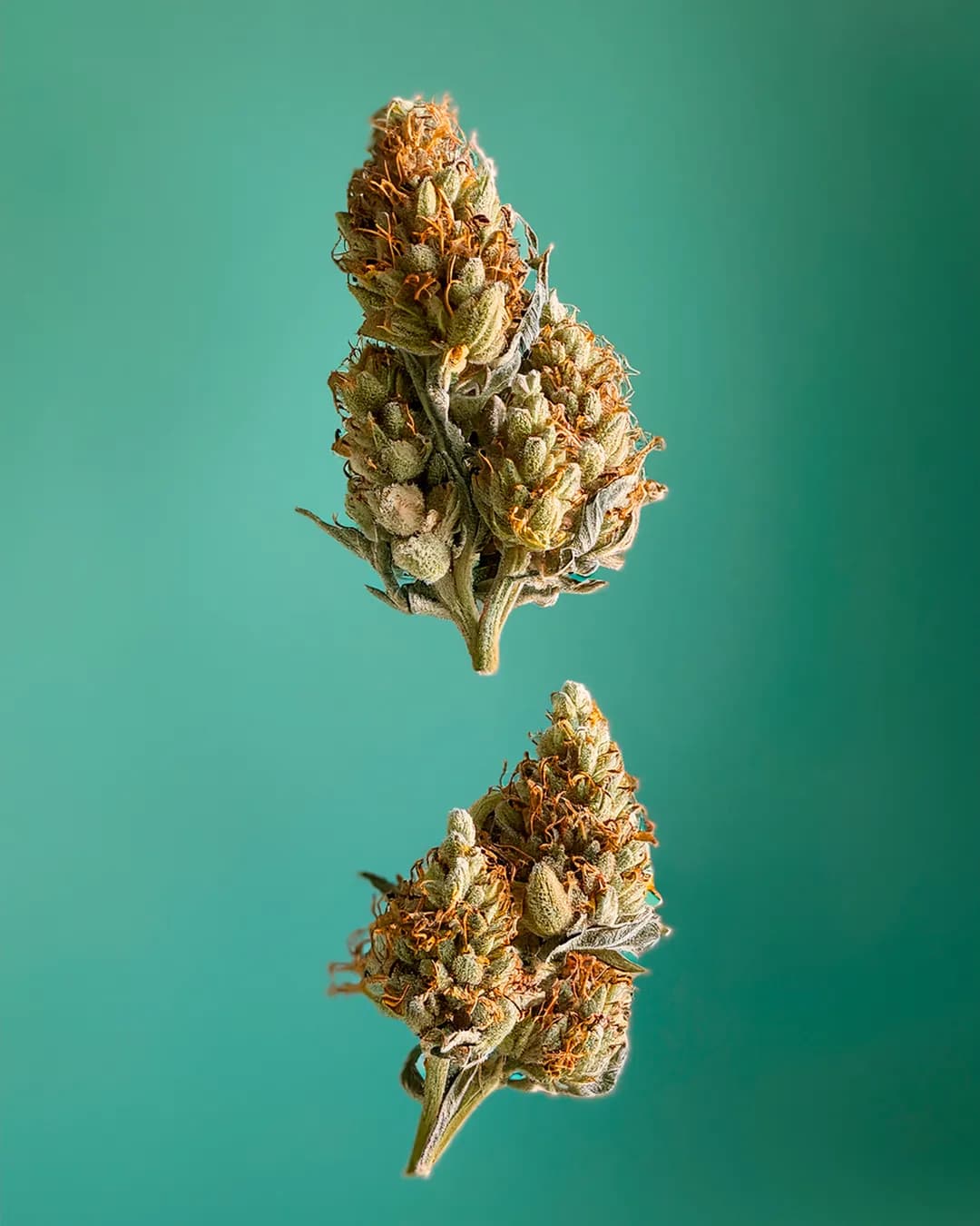 Pourquoi les analyses en laboratoire sont essentielles ?