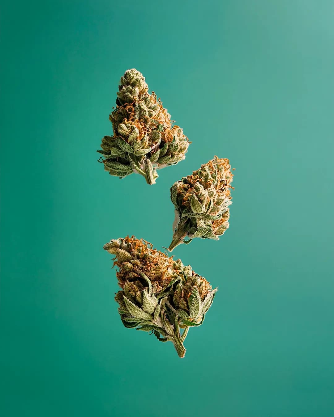 Le CBD est-il légal en France ?