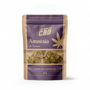 AMNÉSIA 10 G