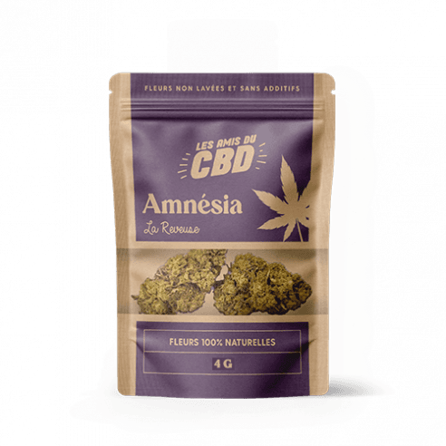 AMNÉSIA 4 G